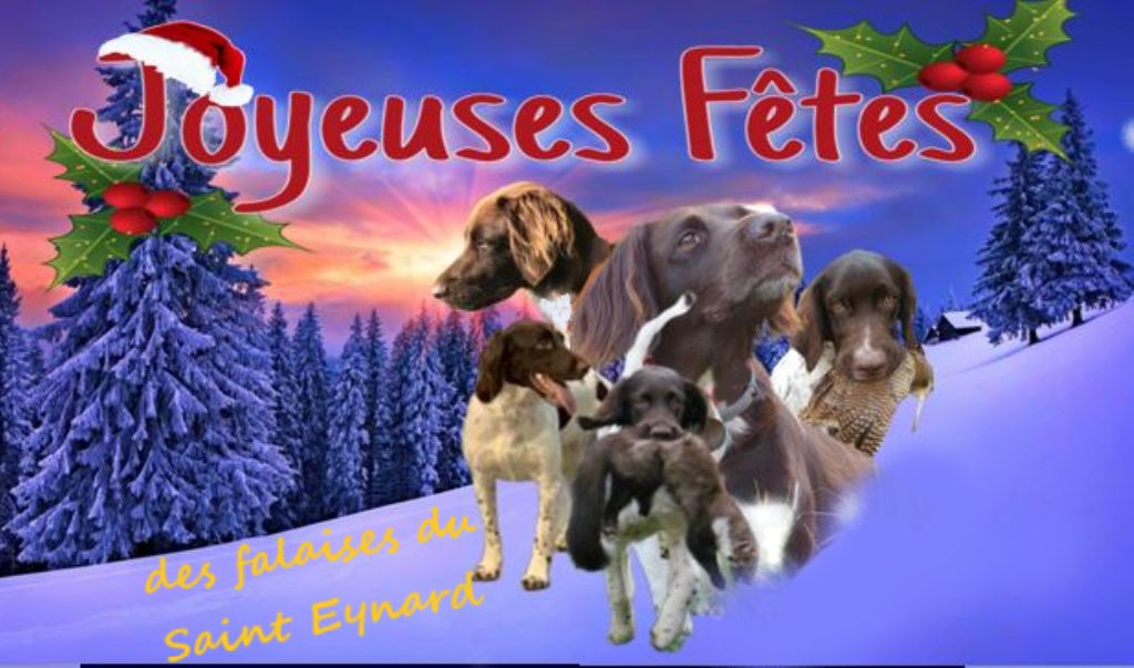 Des Falaises Du Saint Eynard - Joyeuses fêtes de fin d'année