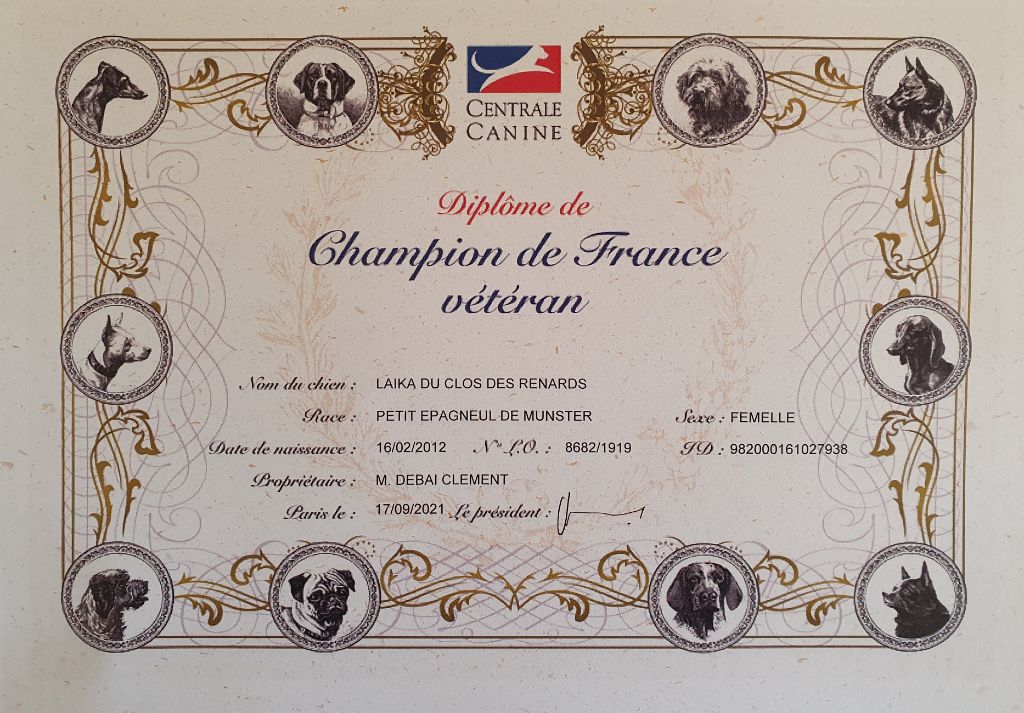 Des Falaises Du Saint Eynard - LAIKA Championne de France Vétéran